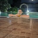 ���������� ����, ���� ������� ����, 38 ���, ������������ ��� ������, ����� � ���������