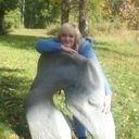 ���������� ����������, ���� ������� ������, 44 ����, ������������ 