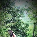 ���������� �������, ���� ������� Semistan, 30 ���, ������������ ��� ������