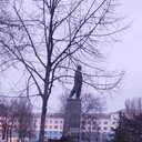 ���������� ������-��-����, ���� ������� ������ �, 36 ���, ������������ ��� ������, ����� � ���������