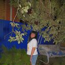  ,   , 52 ,   ,   , c , 