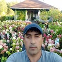  ,   , 43 ,     , 