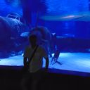 ���������� �����-���������, ���� ������� Konstantin, 43 ����, ������������ ��� ������