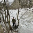 ���������� ���������, ���� ������� �����, 37 ���, ������������ ��� ������, ����� � ���������