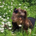 ���������� �������, ���� ������� ������, 33 ����, ������������ ��� ������, ����� � ���������, c�������� ���������