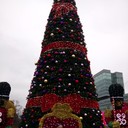 ���������� ������������, ���� ������� ����, 38 ���, ������������ ��� ������, ����� � ���������, c�������� ���������