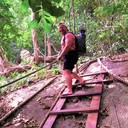 ���������� ������, ���� ������� �����, 53 ����, ������������ ��� ������, ����� � ���������, c�������� ���������