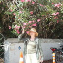 ���������� �����, ���� ������� ����, 59 ���, ������������ ��� c�������� ���������, ���������