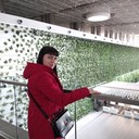 ���������� �����������, ���� ������� ������, 41 ���, ������������ ��� ����� � ���������, c�������� ���������