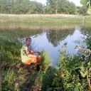 ���������� ����������, ���� ������� ������, 37 ���, ������������ ��� ����� � ���������, c�������� ���������