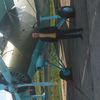  ,   Klimovich, 45 ,   