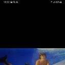 ���������� ������, ���� ������� �������, 50 ���, ������������ ��� ������, ����� � ���������