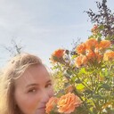 ���������� ����, ���� ������� �������, 33 ����, ������������ ��� ������, ���������