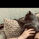 ,   , 24 ,   ,   , 