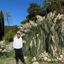  ,   Karlovich, 40 ,     , c 