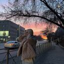 ���������� �����������, ���� ������� ������, 20 ���, ������������ ��� ����� � ���������