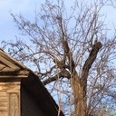 ���������� ���������, ���� ������� ����, 31 ���, ������������ ��� ������, ����� � ���������, c�������� ���������