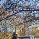 ���������� ������, ���� ������� ���������, 28 ���, ������������ ��� ������, ����� � ���������