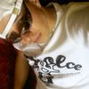   ,   , 40 ,   ,   , c 