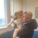 ���������� ����, ���� ������� ����������, 46 ���, ������������ ��� ����� � ���������, c�������� ���������