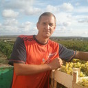 ���������� �����, ���� ������� ���, 55 ���, ������������ ��� ����� � ���������, c�������� ���������