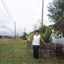  ,   , 61 ,     , c , 