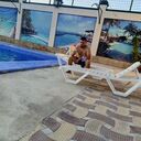 ���������� �����-���������, ���� ������� ��������, 28 ���, ������������ ��� ����� � ���������