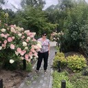  ,   , 51 ,     , c , 