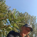  ,   , 40 ,   ,   , c 