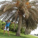 ���������� ������, ���� ������� ����, 37 ���, ������������ ��� ������, ����� � ���������, c�������� ���������