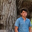 ���������� ������, ���� ������� ���, 31 ���, ������������ ��� ������, ����� � ���������