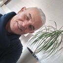 ���������� �������, ���� ������� ���������, 61 ���, ������������ ��� c�������� ���������