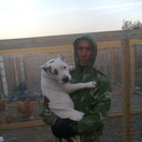 ���������� ����������, ���� ������� �����, 48 ���, ������������ ��� ����� � ���������, c�������� ���������