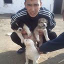  ,   , 32 ,   