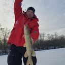 ���������� �����-���������, ���� ������� �������, 42 ����, ������������ ��� ������, ����� � ���������