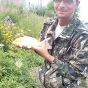 ���������� ������, ���� ������� ������, 46 ���, ������������ ��� ������, ����� � ���������, c�������� ���������