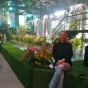 ���������� �����, ���� ������� �������, 53 ����, ������������ ��� c�������� ���������