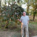  ,   , 63 ,   ,   