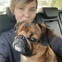 ���������� ������, ���� ������� ���������, 33 ����, ������������ ��� ������, ����� � ���������