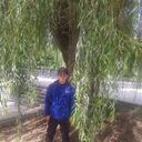 ���������� ������, ���� ������� �����, 40 ���, ������������ ��� ����� � ���������, c�������� ���������