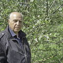 ���������� ��������, ���� ������� ��������, 72 ����, ������������ ��� c�������� ���������