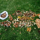 ���������� �����, ���� ������� ������, 39 ���, ������������ ��� ������, ����� � ���������, c�������� ���������