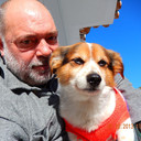  Algolsheim,   Sadovileblan, 61 ,   ,   , c 