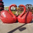  ,   , 54 ,   c 