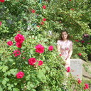 ���������� ���������, ���� ������� �����, 41 ���, ������������ ��� c�������� ���������