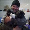 ���������� ����, ���� ������� ��������, 50 ���, ������������ ��� ������, ����� � ���������, c�������� ���������