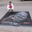 ���������� ����, ���� ������� ���, 44 ����, ������������ ��� ������