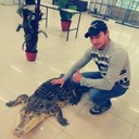 ���������� �����, ���� ������� ������, 33 ����, ������������ ��� ������, ����� � ���������, c�������� ���������