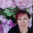  ,   , 51 ,     , c 