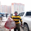 ���������� ������������, ���� ������� �����, 49 ���, ������������ ��� ������